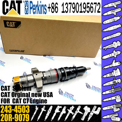 C7 Common Rail Injector 243-4502  20R-9079 2OR-8071 20R-8066  295-9166 For CAT engine