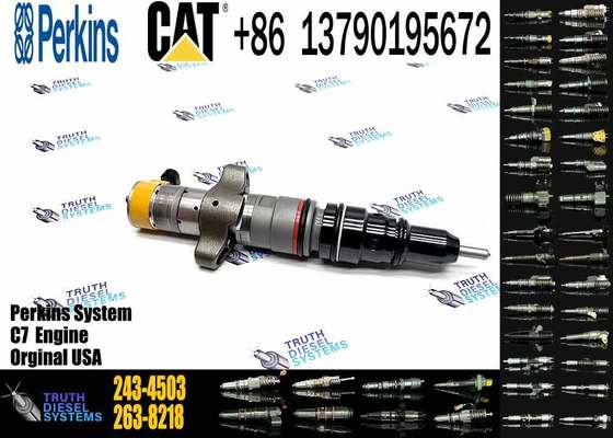 Diesel Engine C7 C9 Fuel Injector 243-4503 2434503 295-1409 2951409