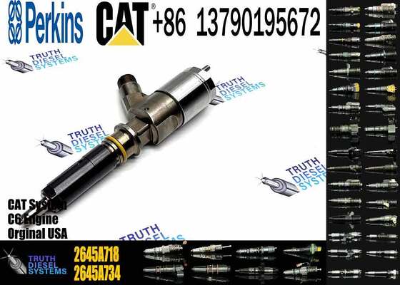 China-Made New Common Rail Diesel Fuel Injector 292-3780 2645A718 10R-7670 for Engine C6.6 3116 6.6L 323D C4.4 Inyector