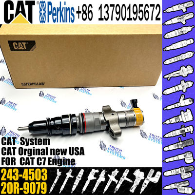 C7 Common Rail Injector 243-4502  20R-9079 2OR-8071 20R-8066  295-9166 For CAT engine