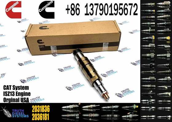 For scania Fuel Injector 1881565 2894920 2031836 1874425 1933613 2086663 4307217