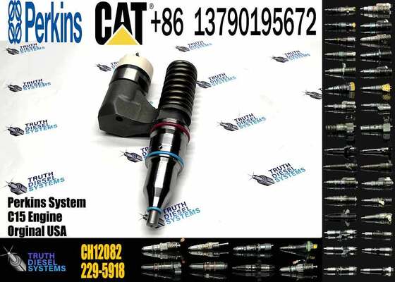 China New High Quality CH12082 229-5919 Diesel Fuel Injector for Truck Engine for with 2206A and 2206C Engines