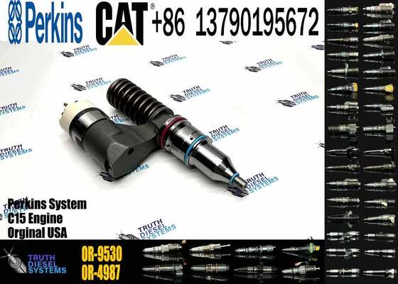 10R-0960 10R0960 1660149 166-0149 Fuel Injector for CAT C10 C12 3176 3196 C-12 Engine 194-5083 OR-9530 20R-1264 20R-1265