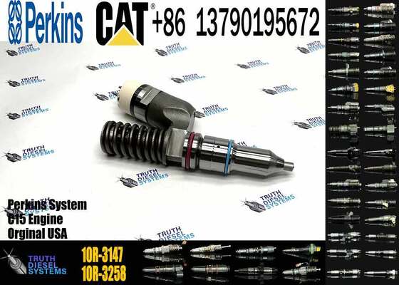 C13 Injector 10r-3147 249-0712 249-0713 2490712 for Fuel Injector