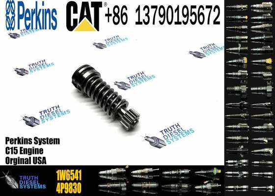 Construction Machinery Parts Fuel Injection Pump Plunger 4P9830 1W6541 7W5929 for Cat Engine 3304 3306 Plunger