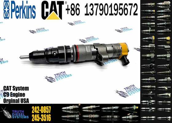 Excavator Accessories Fuel Injector 225-0117 236-0957 238-8092 240-8063 242-0857 245-3516 for CAT C9 Construction Machinery