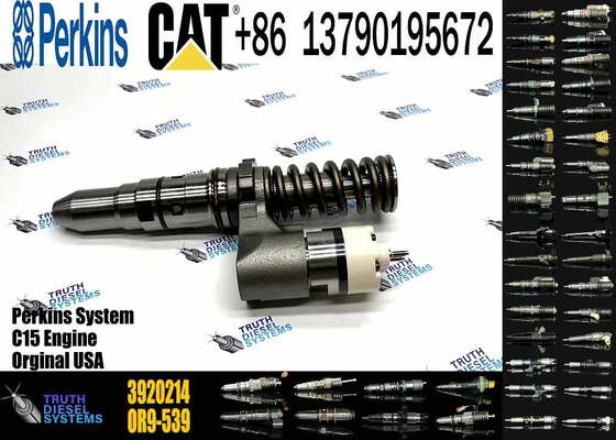 CAT Diesel Engine 3406 Fuel Injector 317-5278 3920214 392-0214 392-0206 3920206 249-0746